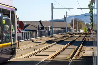 THE LUAS TRAM STOP AT RANELAGH [6 APRIL 2025]-249191-1