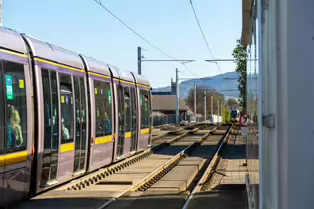 THE LUAS TRAM STOP AT RANELAGH [6 APRIL 2025]-249192-1