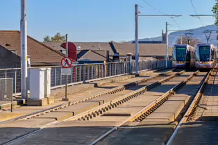 THE LUAS TRAM STOP AT RANELAGH [6 APRIL 2025]-249195-1