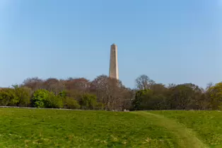 THE WELLINGTON MONUMENT IN PHOENIX PARK[ALSO KNOWN AS THE WELLINGTON TESTIMONIAL]-249337-1