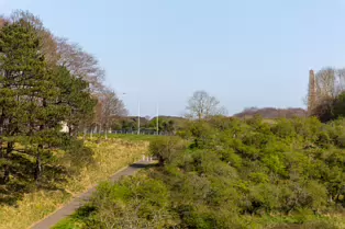 THE WELLINGTON MONUMENT IN PHOENIX PARK[ALSO KNOWN AS THE WELLINGTON TESTIMONIAL]-249338-1
