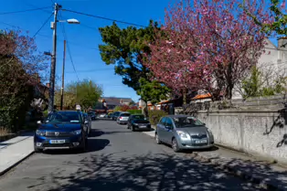 TUDOR ROAD [RANELAGH AREA OF DUBLIN]-249489-1