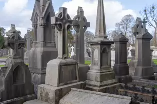 THE SECONDARY CIRCLE OF VAULTS [GLASNEVIN CEMETERY IN DUBLIN]-247929-1