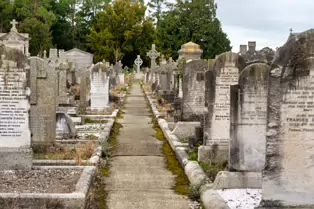 AN UNPLANNED VISIT TO DEANSGRANGE CEMETERY [I USED A VOIGTLANDER LENS]-246895-1