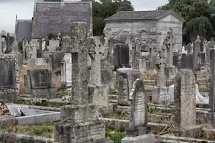 AN UNPLANNED VISIT TO DEANSGRANGE CEMETERY [I USED A VOIGTLANDER LENS]-246905-1
