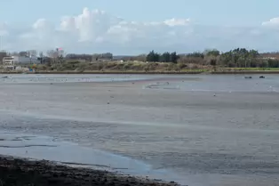 DUBLIN PORT TOLKA ESTUARY GREENWAY [A HARBOUR HAVEN]-248124-1