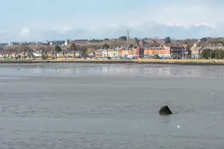 DUBLIN PORT TOLKA ESTUARY GREENWAY [A HARBOUR HAVEN]-248125-1