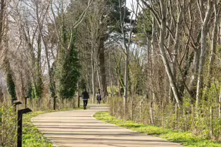 DUBLIN PORT TOLKA ESTUARY GREENWAY [A HARBOUR HAVEN]-248130-1