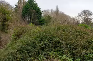 ST LAURENCE'S ROAD [CHAPELIZOD ON THE SOUTH BANK OF THE RIVER LIFFEY]-246588-1