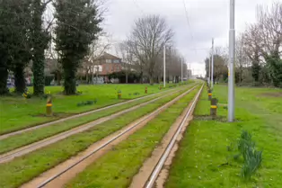 EXPLORING A UNIQUE SECTION OF THE LUAS RED LINE [THE GRASS SECTION BETWEEN THE SUIR ROAD STOP AND THE RIALTO STOP]-247767-1