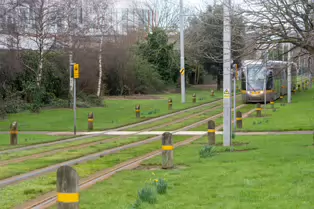 EXPLORING A UNIQUE SECTION OF THE LUAS RED LINE [THE GRASS SECTION BETWEEN THE SUIR ROAD STOP AND THE RIALTO STOP]-247777-1