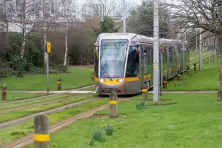 EXPLORING A UNIQUE SECTION OF THE LUAS RED LINE [THE GRASS SECTION BETWEEN THE SUIR ROAD STOP AND THE RIALTO STOP]-247779-1