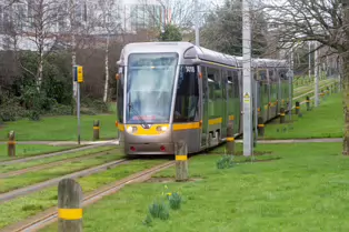 EXPLORING A UNIQUE SECTION OF THE LUAS RED LINE [THE GRASS SECTION BETWEEN THE SUIR ROAD STOP AND THE RIALTO STOP]-247780-1
