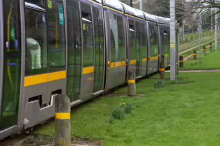 EXPLORING A UNIQUE SECTION OF THE LUAS RED LINE [THE GRASS SECTION BETWEEN THE SUIR ROAD STOP AND THE RIALTO STOP]-247783-1