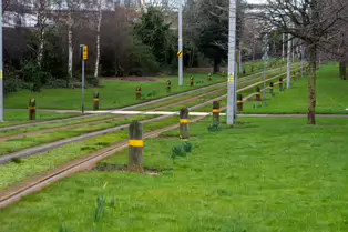 EXPLORING A UNIQUE SECTION OF THE LUAS RED LINE [THE GRASS SECTION BETWEEN THE SUIR ROAD STOP AND THE RIALTO STOP]-247787-1