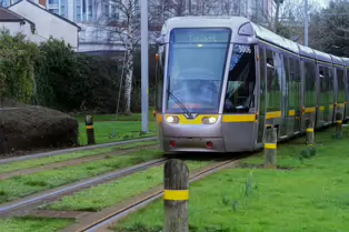 EXPLORING A UNIQUE SECTION OF THE LUAS RED LINE [THE GRASS SECTION BETWEEN THE SUIR ROAD STOP AND THE RIALTO STOP]-247790-1