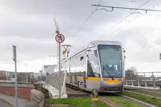 EXPLORING A UNIQUE SECTION OF THE LUAS RED LINE [THE GRASS SECTION BETWEEN THE SUIR ROAD STOP AND THE RIALTO STOP]-247793-1