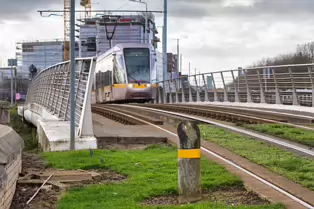 EXPLORING A UNIQUE SECTION OF THE LUAS RED LINE [THE GRASS SECTION BETWEEN THE SUIR ROAD STOP AND THE RIALTO STOP]-247794-1