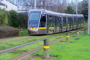EXPLORING A UNIQUE SECTION OF THE LUAS RED LINE [THE GRASS SECTION BETWEEN THE SUIR ROAD STOP AND THE RIALTO STOP]-247797-1
