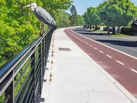 THIS HERON GAVE ME THE OPPORTUNITY TO CROP RATHER THAN ZOOM [I USED A FUJI GFX100RF SO I HAD NO OPTION]-251119-1