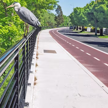 THIS HERON IGNORED ME The heron offered a chance to crop rather than zoom – a necessity given I was using a Fuji GFX100RF, which has a fixed...