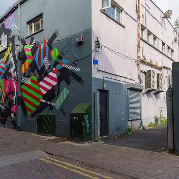 BROWN THOMAS LANE MURAL New Zealander Askew One collaborated with Irish artist Maser to combine two unique techniques resulting in this amazing...