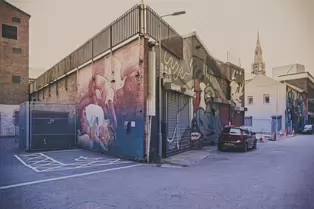 STREET ART AT YORK LANE - ULSTER UNIVERSITY CITY CAMPUS [THE MOST NOTABLE BEING BY SOPHI ODLING FROM AUSTRALIA]-251772-1