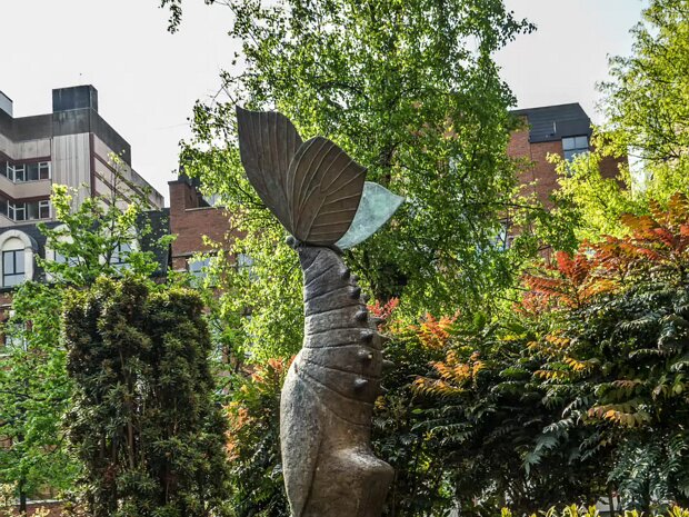 BLACKSTAFF SQUARE 2011