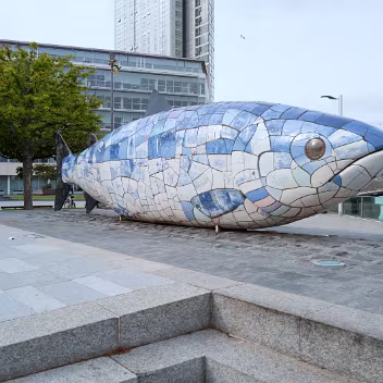 THE STORY OF TWO BIGFISH