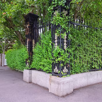 STORMONT ESTATE MAY 2025 The Stormont Estate, located on the outskirts of Belfast, is a significant public parkland renowned for its beautiful...
