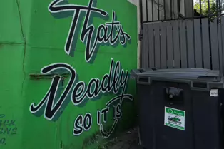 EXAMPLES OF STREET ART IN DUNDALK [I HAD TO ABANDON THIS SESSION BUT WILL RETURN AT A LATER DATE]-251424-1