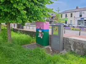 COAST WALK BY EILIS NOLAN [PAINT-A-BOX STREET ART ON ROCK ROAD]-251711-1