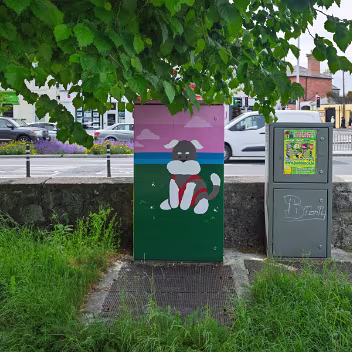PAINT-A-BOX STREET ART BY EILIS NOLAN In this piece, a dog is enjoying one of the many beautiful walks we have along the east coast of Ireland. Eilis based it...