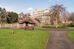 A QUICK VISIT TO THE BOTANIC GARDENS [GLASNEVIN 22 FEBRUARY 2025]-247936-1