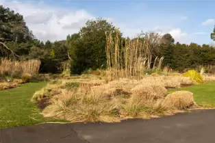 A QUICK VISIT TO THE BOTANIC GARDENS [GLASNEVIN 22 FEBRUARY 2025]-247945-1