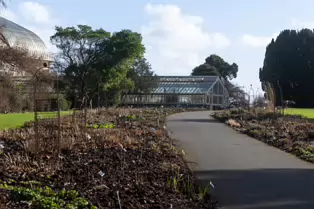 A QUICK VISIT TO THE BOTANIC GARDENS [GLASNEVIN 22 FEBRUARY 2025]-247963-1