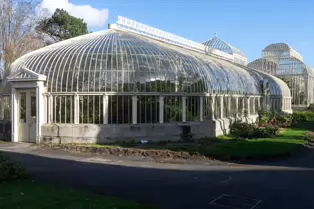 A QUICK VISIT TO THE BOTANIC GARDENS [GLASNEVIN 22 FEBRUARY 2025]-247966-1