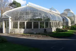 A QUICK VISIT TO THE BOTANIC GARDENS [GLASNEVIN 22 FEBRUARY 2025]-247967-1