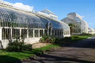 A QUICK VISIT TO THE BOTANIC GARDENS [GLASNEVIN 22 FEBRUARY 2025]-247968-1