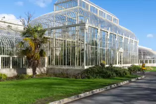 A QUICK VISIT TO THE BOTANIC GARDENS [GLASNEVIN 22 FEBRUARY 2025]-247969-1