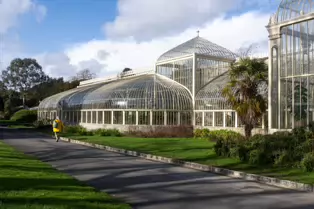 A QUICK VISIT TO THE BOTANIC GARDENS [GLASNEVIN 22 FEBRUARY 2025]-247972-1