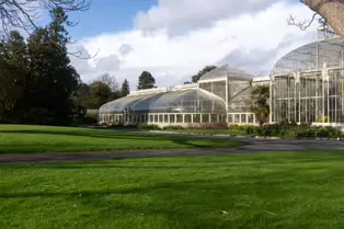 A QUICK VISIT TO THE BOTANIC GARDENS [GLASNEVIN 22 FEBRUARY 2025]-247974-1