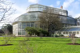 A QUICK VISIT TO THE BOTANIC GARDENS [GLASNEVIN 22 FEBRUARY 2025]-247975-1