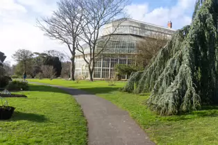 A QUICK VISIT TO THE BOTANIC GARDENS [GLASNEVIN 22 FEBRUARY 2025]-247977-1