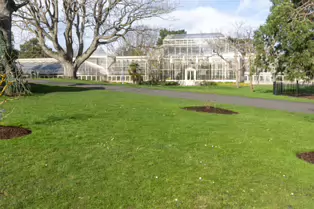 A QUICK VISIT TO THE BOTANIC GARDENS [GLASNEVIN 22 FEBRUARY 2025]-247978-1