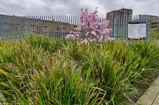 BRIDGEFOOT STREET PARK AND NEARBY [ISLAND STREET AND BRIDGEFOOT STREET]-250171-1
