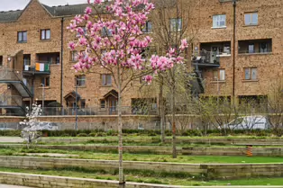 BRIDGEFOOT STREET PARK AND NEARBY [ISLAND STREET AND BRIDGEFOOT STREET]-250175-1