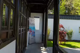 THE IRISH SUZHOU GARDEN IN ST ANNE'S PARK [HAS BEEN RESTORED]-250600-1