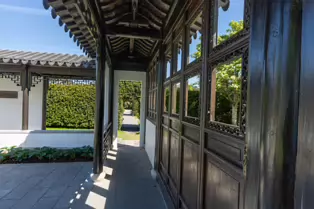 THE IRISH SUZHOU GARDEN IN ST ANNE'S PARK [HAS BEEN RESTORED]-250603-1