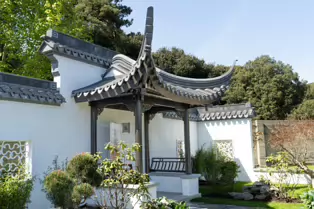 THE IRISH SUZHOU GARDEN IN ST ANNE'S PARK [HAS BEEN RESTORED]-250604-1